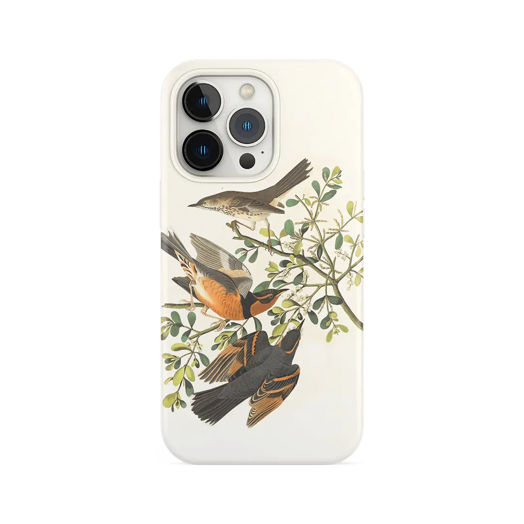 COVER - BIRDS