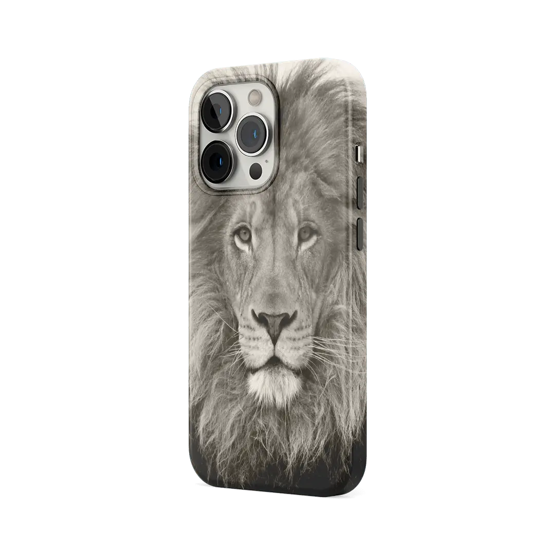 COVER - LION - Image 3
