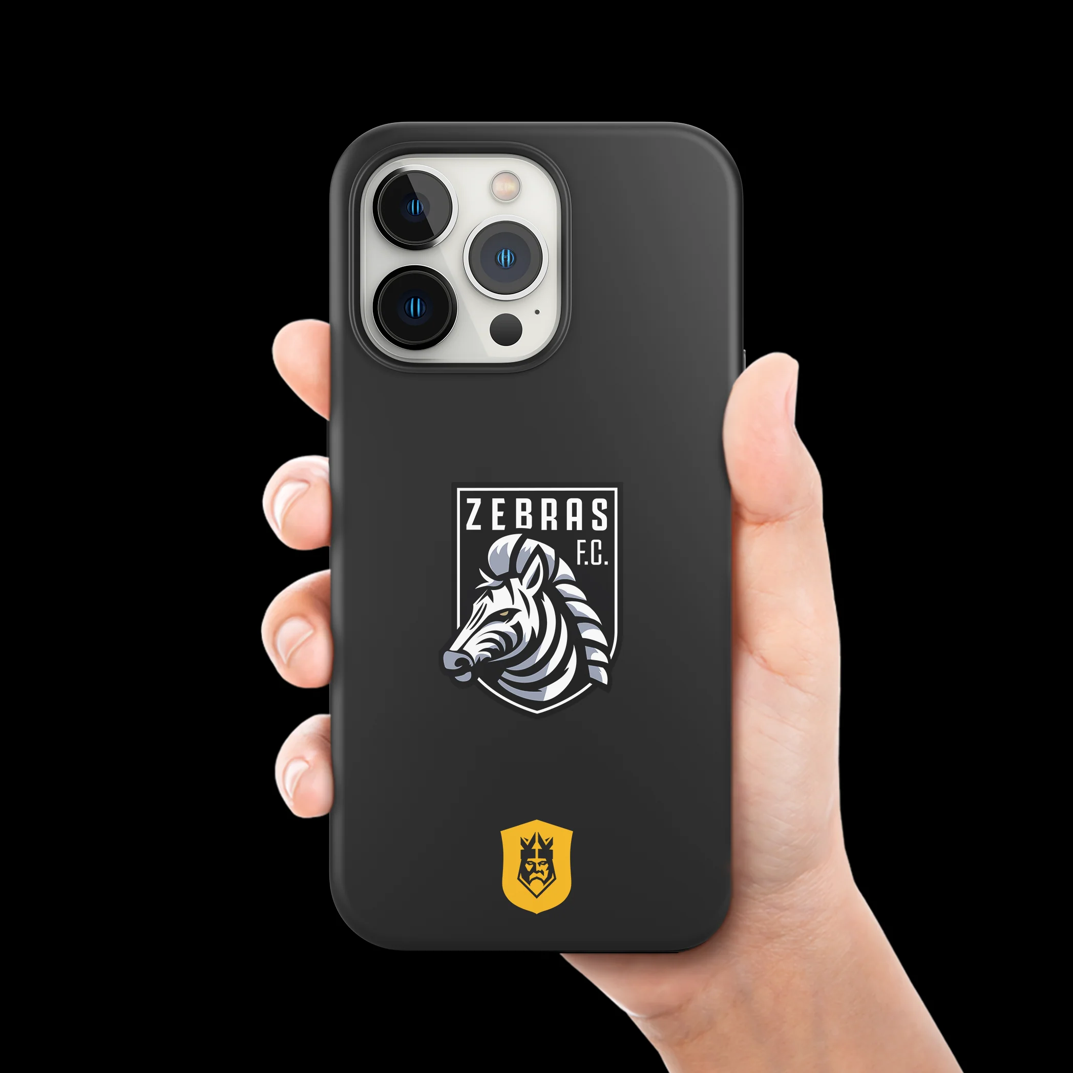 ZEBRAS - COVER LOGO - Image 4