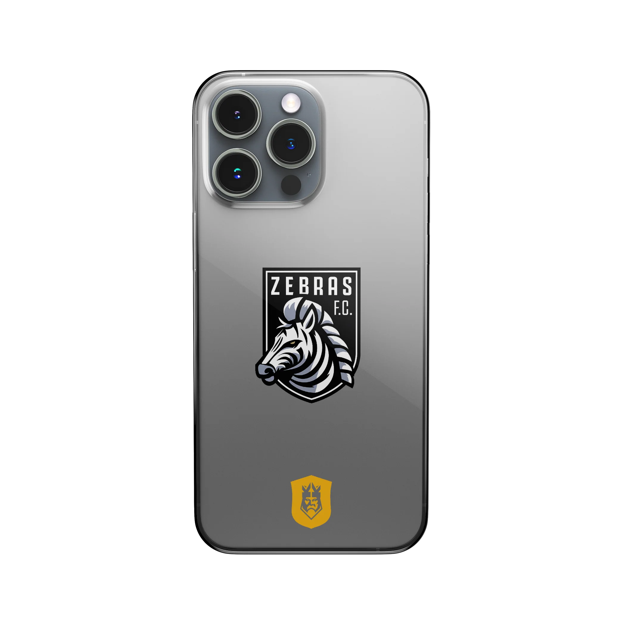 ZEBRAS - COVER LOGO - Image 6